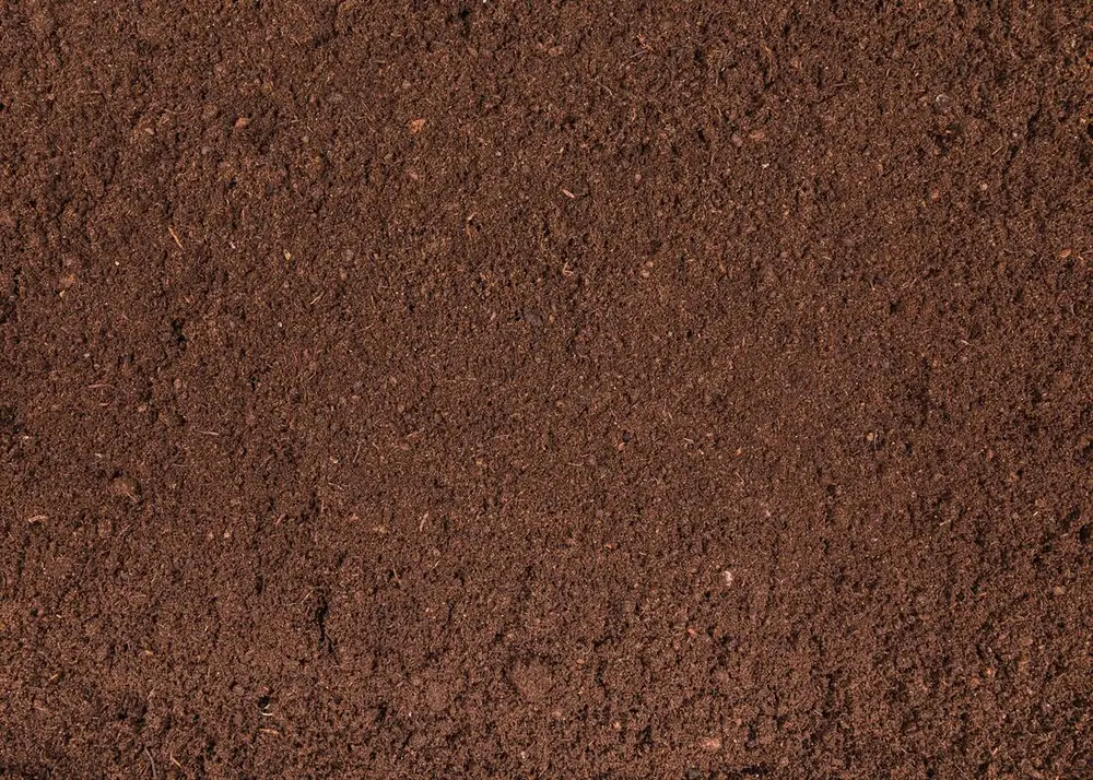 Horta comunitária orgânica do Kaá Residencial